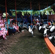 PDTS Usul Kandang Gorila di KBS Jadi Bangunan Cagar Budaya