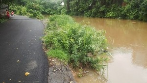 Sungai Ciliwung yang Mengarah ke Istana Negara Hampir Meluap
