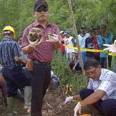 Kerangka Manusia Ditemukan di Sawah Diperkirakan Dikubur Lebih 3 Tahun