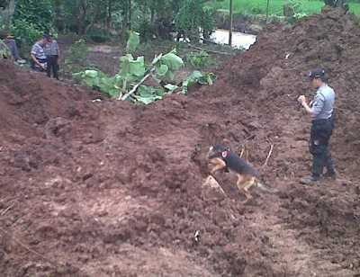4 Anjing Pelacak Ikut Bantu Pencarian Korban Longsor di Jombang