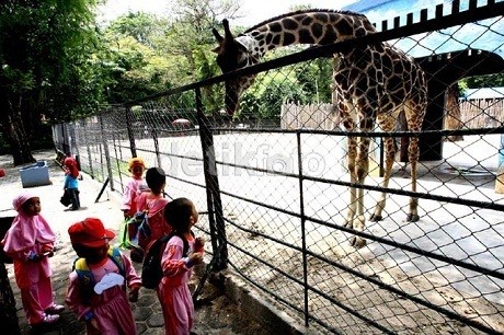 Risma: KBS Tidak akan Profit Oriented