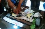 Kolor Ijo Akhirnya Tertangkap