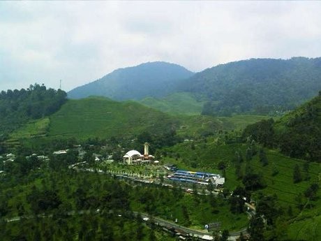 Tol Jagorawi Lancar, Arah Puncak Padat Merayap