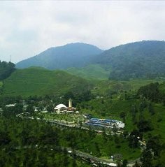 Libur Imlek, Lalin Puncak Padat dan Berkabut