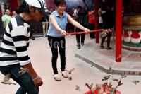 Warga Tionghoa juga melakukan ritual melepas burung.