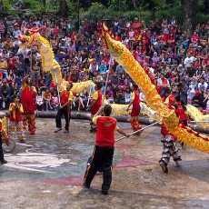 Imlek, Barongsai Sedot Perhatian Pengunjung Taman Safari Prigen