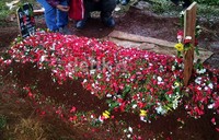 Para pelayat menaburkan bunga di pusara Murry.