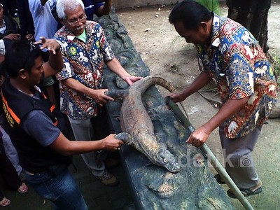 Seekor Komodo Koleksi KBS Mati