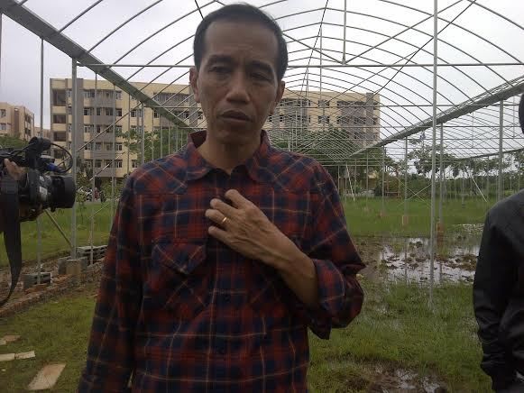 Jokowi Ingin Buat Rusun Marunda Percontohan Urban Farming di Jakarta