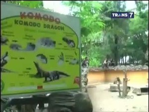 Lagi, 2 Hewan KBS Mati Misterius
