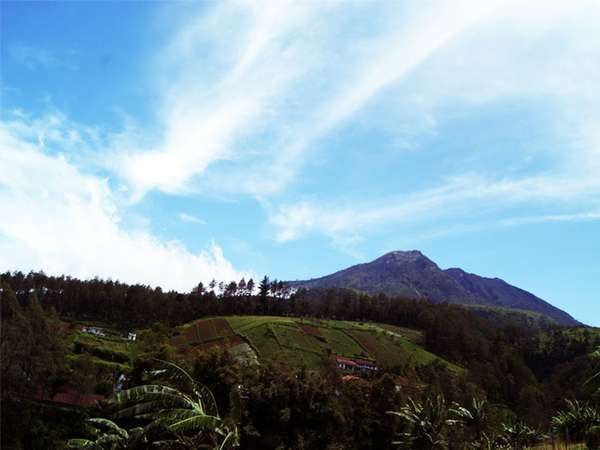 Gunung Kelud Diprediksi Meletus, Warga Diminta Tinggalkan Rumah