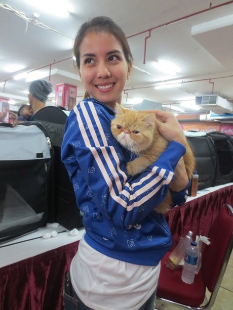 Kucing Mati, Pemilik Stres Hingga Sesak Nafas