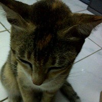 Si Momo Dianggap Pacar Hingga Bobo Bareng