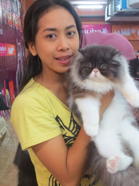 Penyakit Asma Malah Sembuh Setelah Pelihara Kucing