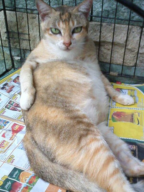 Si Momo Dianggap Pacar Hingga Bobo Bareng