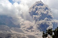 Awan panas Gunung Sinabung menerjang apa saja yang ada di depannya. AFP/Adek Berry.