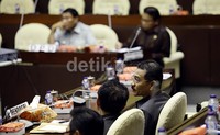 Sebelumnya, apat paripurna DPR 24 November 2013 lalu telah menyetujui usulan pembenukan 65 Daerah Otonomi Baru (DOB) menjadi Rancangan Undang-undang (RUU) inisiatif DPR.