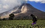 Beraktivitas di Tengah Erupsi Sinabung