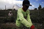 Beraktivitas di Tengah Erupsi Sinabung
