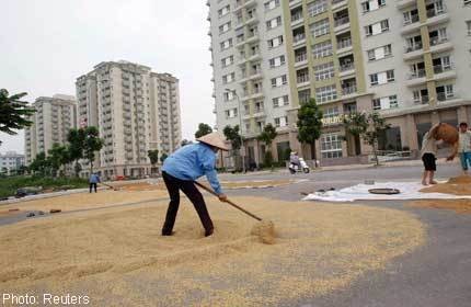 Selain Vietnam, RI Juga Banyak Impor Beras dari Negara-negara Ini Selain Vietnam, RI Juga Banyak Impor Beras dari Negara-negara Ini