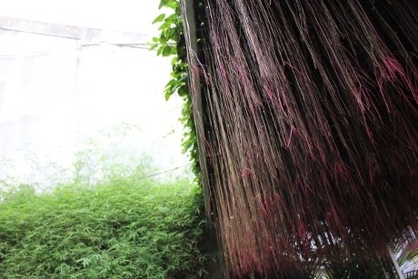 Kehadiran Si Gondrong Buat Rumah Irwan Ahmett Unik