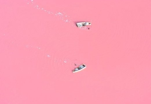 Ada Danau Pink di Afrika & Australia!