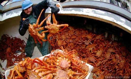5 Pekerjaan Ini Gajinya Tinggi, Tapi Nyawa Taruhannya 5 Pekerjaan Ini Gajinya Tinggi, Tapi Nyawa Taruhannya