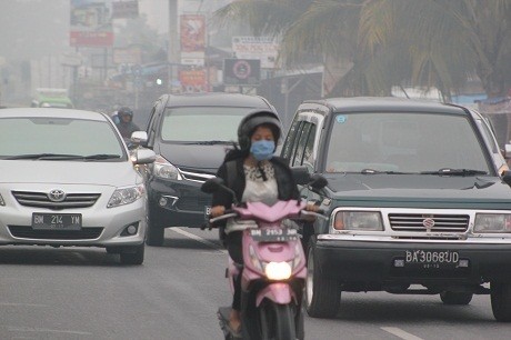 Pekanbaru Dikepung Asap, Jadwal Penerbangan Normal