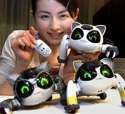Mengintip Industri Robot Jepang yang Mengagumkan