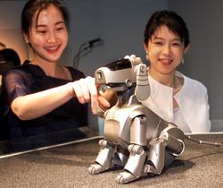 Mengintip Industri Robot Jepang yang Mengagumkan