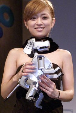 Mengintip Industri Robot Jepang yang Mengagumkan