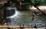 Berenang di Kali Gresik
