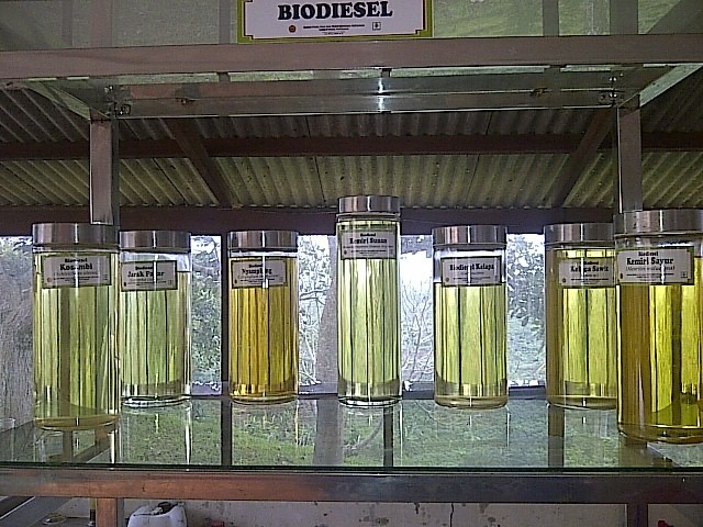 Importir Minyak Tak Senang Pemerintah Dorong Biodiesel