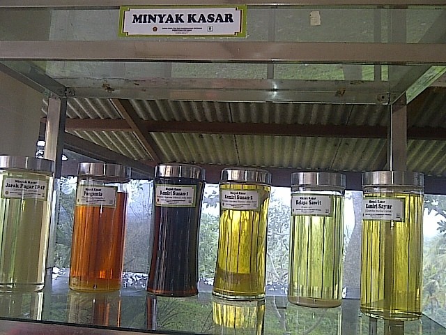 Indonesia Negeri Kaya Sumber Bahan Bakar Hijau