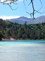 Seperti Ini Cantiknya Telaga Warna di Dieng