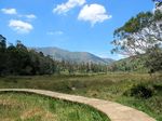 Seperti Ini Cantiknya Telaga Warna di Dieng