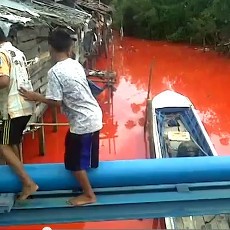Warna Air Sungai di Bontang Berubah Misterius Menjadi Merah Darah