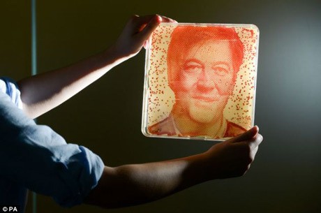 Ihh...Lukisan Ini Dibuat dari Bakteri di Ketiak Stephen Fry