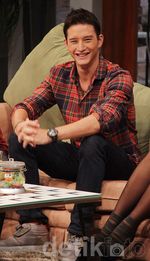 Mike Lewis Tampan Berkemeja Kotak-kotak