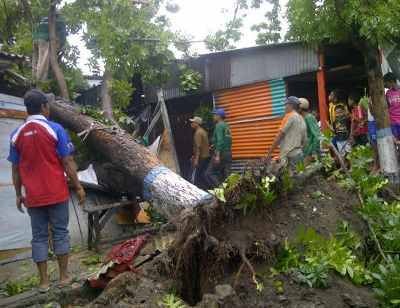 Diterjang Puting Beliung, Pohon Tumbang Timpa Warung dan Tiang Listrik