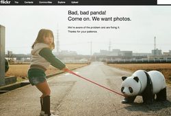 Kanna Si Bad, bad Panda yang Menggemaskan