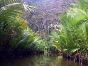 Ada Amazon Campur Green Canyon di Kabupaten Maros