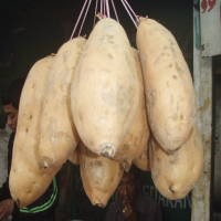 Wah, Orang Singapura Juga Doyan Ubi Cilembu dan Pisang Mas Kirana