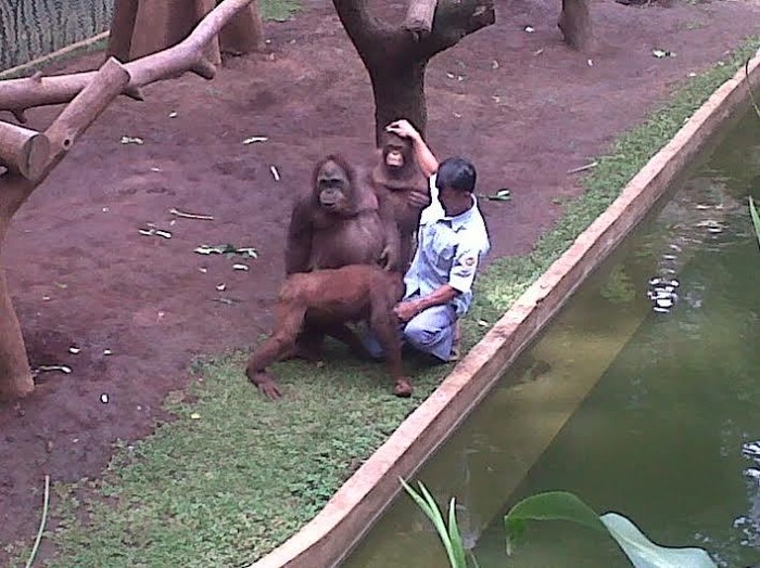 Begini Kondisi Si Atim Usai Video Penyiksaannya Beredar Luas