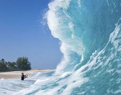 Aksi Kocak Fotografer Berburu Gambar