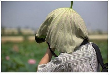 Lupa membawa topi, daun pun dijadikan fotografer ini sebagai penutup kepalanya. (kredit foto: thechive)