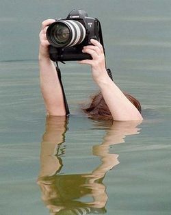Aksi Kocak Fotografer Berburu Gambar