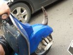 Vespa Bercula Satu