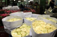 Valentine yang datang hari Jumat (14/02/2014) besuk, membuat para pedagang bunga mulai bersiap menyiapkan dagangan yang lebih dari hari biasa untuk menyambut hari kasih sayang tersebut.     