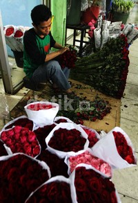     Bila pada hari biasa seikat mawar berisi 20 tangkai hanya dijual Rp30 ribu, menjelang 14 Februari penjual mematok harga Rp80 ribu hingga Rp90 ribu.     